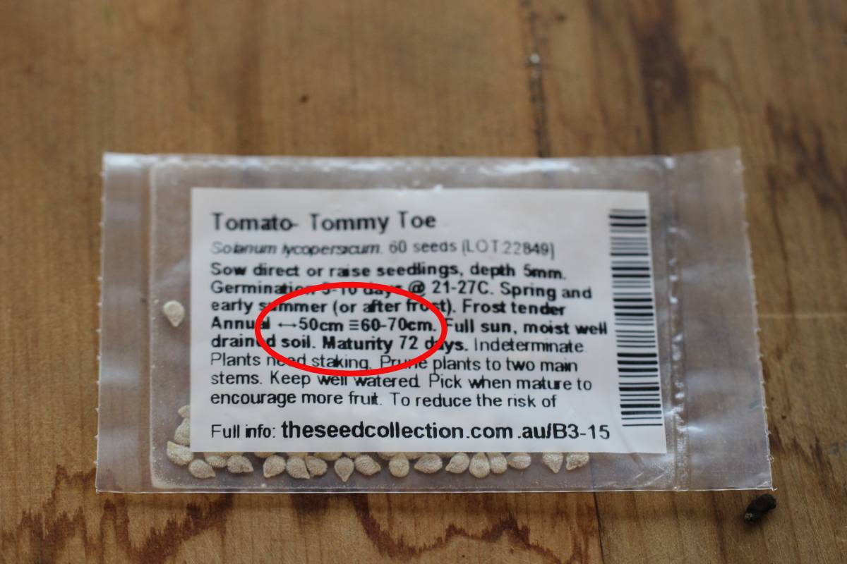 Spacing Matters Why Vegetable Plants Need to Keep Their Distance The